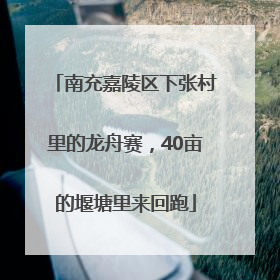 南充嘉陵区下张村里的龙舟赛，40亩的堰塘里来回跑