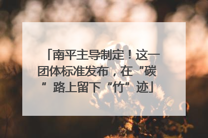 南平主导制定！这一团体标准发布，在“碳”路上留下“竹”迹