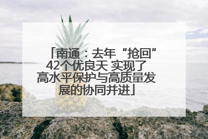 南通：去年“抢回”42个优良天 实现了高水平保护与高质量发展的协同并进