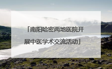 南阳哈密两地医院开展中医学术交流活动