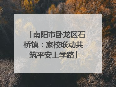 南阳市卧龙区石桥镇：家校联动共筑平安上学路