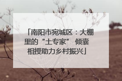 南阳市宛城区：大棚里的“土专家” 倾囊相授助力乡村振兴