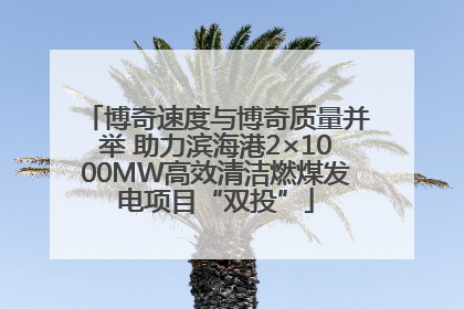 博奇速度与博奇质量并举 助力滨海港2×1000MW高效清洁燃煤发电项目“双投”