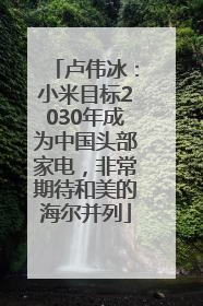 卢伟冰：小米目标2030年成为中国头部家电，非常期待和美的海尔并列