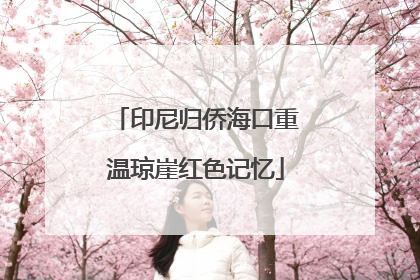 印尼归侨海口重温琼崖红色记忆