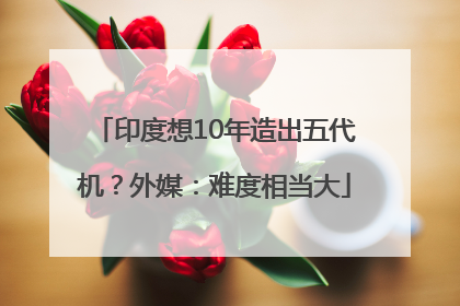 印度想10年造出五代机？外媒：难度相当大