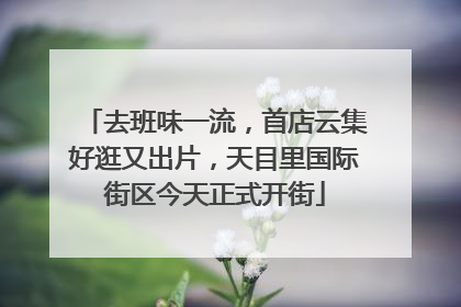 去班味一流，首店云集好逛又出片，天目里国际街区今天正式开街