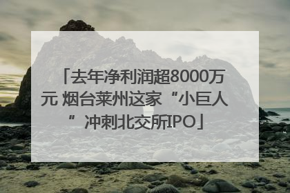 去年净利润超8000万元 烟台莱州这家“小巨人”冲刺北交所IPO