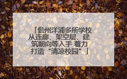 儋州洋浦多所学校从连廊、架空层、建筑朝向等入手 着力打造“清凉校园”