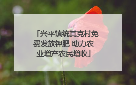 兴平镇统其克村免费发放钾肥 助力农业增产农民增收