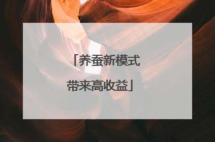 养蚕新模式带来高收益