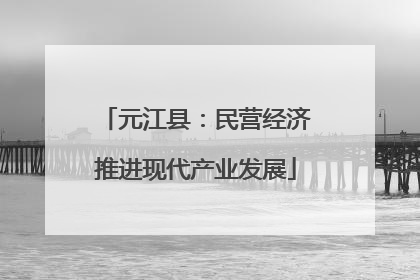 元江县：民营经济推进现代产业发展