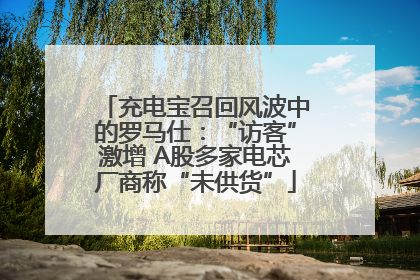 充电宝召回风波中的罗马仕：“访客”激增 A股多家电芯厂商称“未供货”