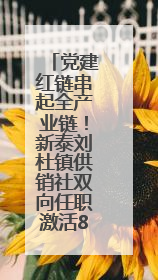 党建红链串起全产业链！新泰刘杜镇供销社双向任职激活8村共富密码