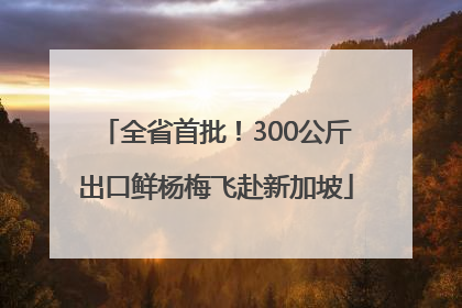 全省首批！300公斤出口鲜杨梅飞赴新加坡