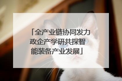 全产业链协同发力 政企产学研共探智能装备产业发展