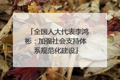全国人大代表李鸿彬：加强社会支持体系规范化建设