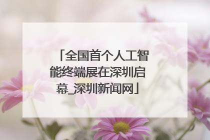 全国首个人工智能终端展在深圳启幕_深圳新闻网