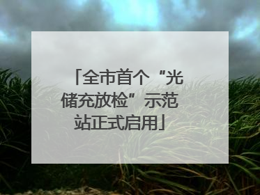 全市首个“光储充放检”示范站正式启用