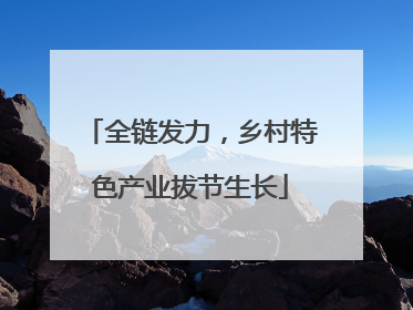 全链发力，乡村特色产业拔节生长