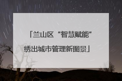 兰山区“智慧赋能”绣出城市管理新图景