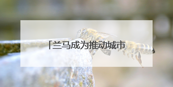 兰马成为推动城市发展的多维度引擎