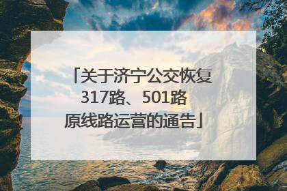 关于济宁公交恢复317路、501路原线路运营的通告