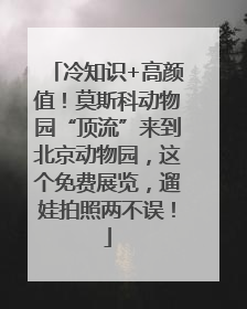 冷知识+高颜值！莫斯科动物园“顶流”来到北京动物园，这个免费展览，遛娃拍照两不误！