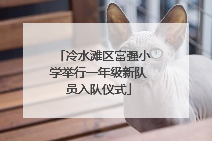 冷水滩区富强小学举行一年级新队员入队仪式