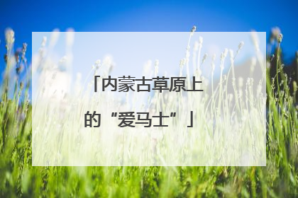 内蒙古草原上的“爱马士”