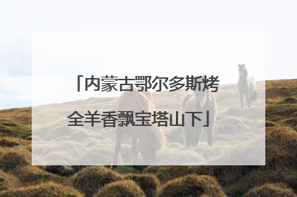 内蒙古鄂尔多斯烤全羊香飘宝塔山下