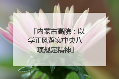 内蒙古高院：以学正风落实中央八项规定精神