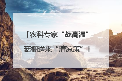 农科专家“战高温” 菇棚送来“清凉策”