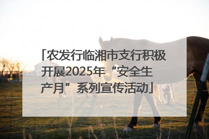 农发行临湘市支行积极开展2025年“安全生产月”系列宣传活动