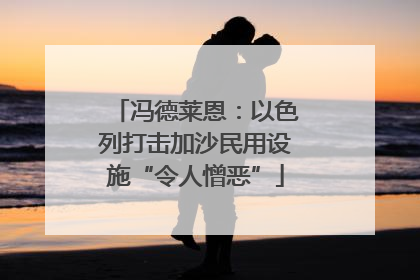 冯德莱恩：以色列打击加沙民用设施“令人憎恶”