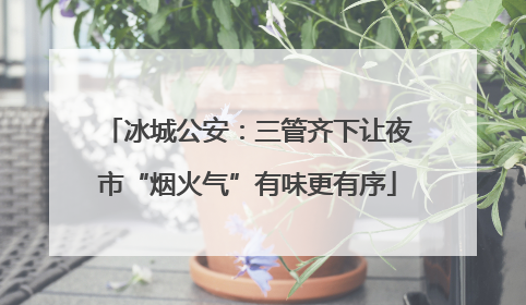 冰城公安：三管齐下让夜市“烟火气”有味更有序