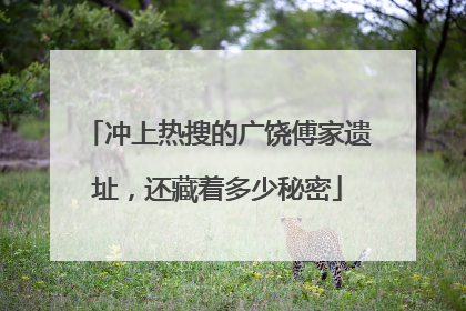 冲上热搜的广饶傅家遗址，还藏着多少秘密