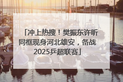 冲上热搜！樊振东许昕同框现身河北雄安，备战2025乒超联赛