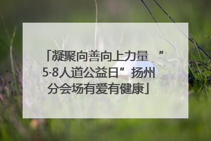 凝聚向善向上力量 “5·8人道公益日”扬州分会场有爱有健康