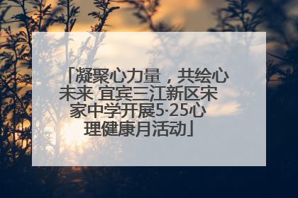 凝聚心力量，共绘心未来 宜宾三江新区宋家中学开展5·25心理健康月活动