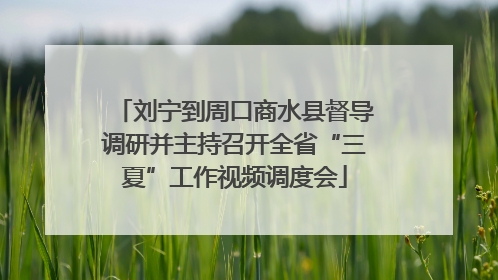 刘宁到周口商水县督导调研并主持召开全省“三夏”工作视频调度会