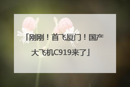 刚刚！首飞厦门！国产大飞机C919来了