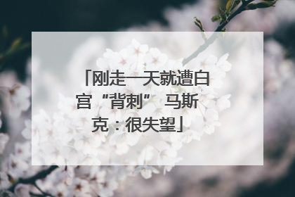 刚走一天就遭白宫“背刺” 马斯克：很失望