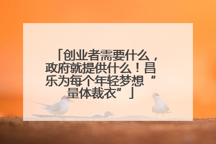 创业者需要什么，政府就提供什么！昌乐为每个年轻梦想“量体裁衣”