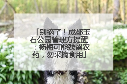 别摘了！成都玉石公园管理方提醒：杨梅可能残留农药，勿采摘食用