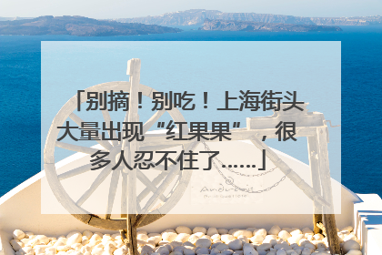 别摘！别吃！上海街头大量出现“红果果”，很多人忍不住了……