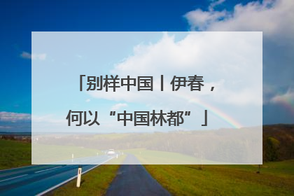 别样中国丨伊春，何以“中国林都”