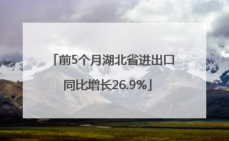 前5个月湖北省进出口同比增长26.9%