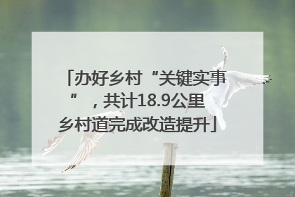 办好乡村“关键实事”，共计18.9公里乡村道完成改造提升