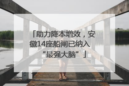 助力降本增效，安徽14座船闸已纳入“最强大脑”